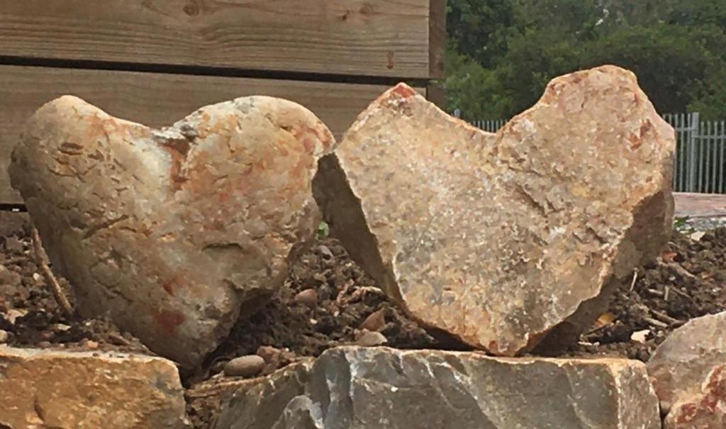 Evane بليتنبيرغ باي المظهر الخارجي الصورة